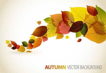 Autumn abstract floral background with place for your textのイラスト素材