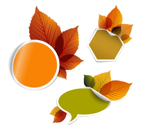 Set of autumn discount tickets, labels, stamps, stickers with colorful leafsのイラスト素材