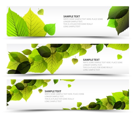 Vector Fresh spring horizontal banners with leafs and sample textのイラスト素材