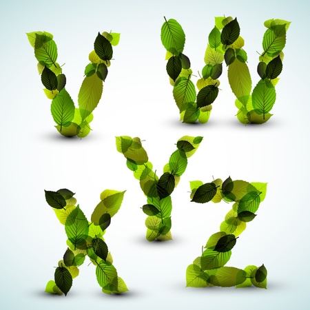 Alphabet letters made from fresh green leafsのイラスト素材