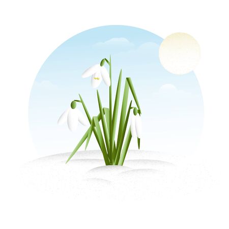 Snowdrop - minimalistic flat design vector illustration clipartのイラスト素材