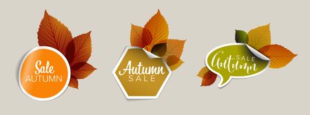 Set of vector autumn discount tickets, labels, stamps, stickers with colorful leafsのイラスト素材