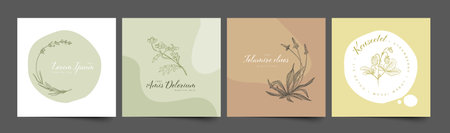 Minimalist floral emblem sign frames template collection made from simple flowers and leaves for wedding invitations product print or emblem sign with circular spots green brown versionのイラスト素材