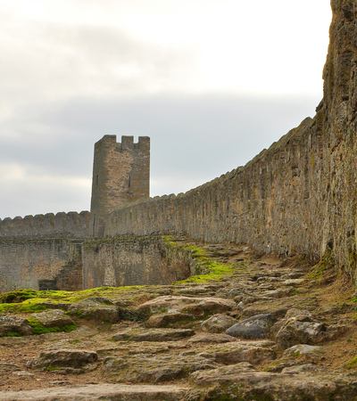 Moss-covered wall of the old Akkerman fortressの写真素材