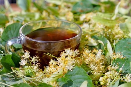 Tilia tea. Tea made from linden flowers. Tea on the table among the linden flowers. Natural curative tea.の写真素材