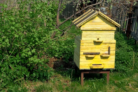 Apiary. Beehive at the farm.
