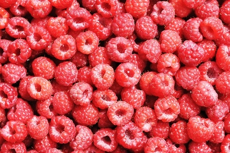 Background of ripe raspberries. Red berries.