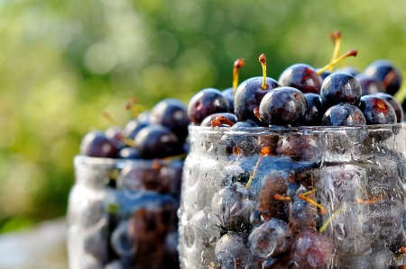 Bramble berries  thorn in glass jars  Blackthorn black berriesの写真素材