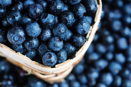 Blueberries have dropped from the basketの写真素材