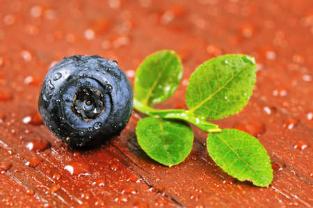 Fresh blueberry on wooden table.Garden fruits.の写真素材