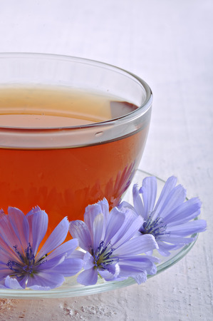 Chicory flowers and tea from chicory.の写真素材