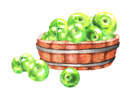 Wooden bowl with ripe green apples. Watercolor illustrationの写真素材