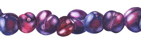 Several plums on a white background. Seamless pattern. Watercolor illustrationの写真素材