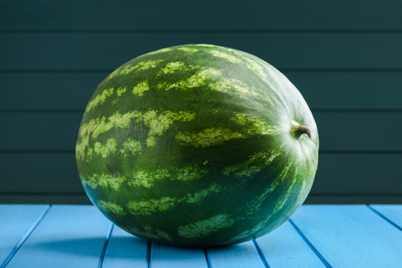 Big whole striped watermelon on blue turquoise backgroundの写真素材