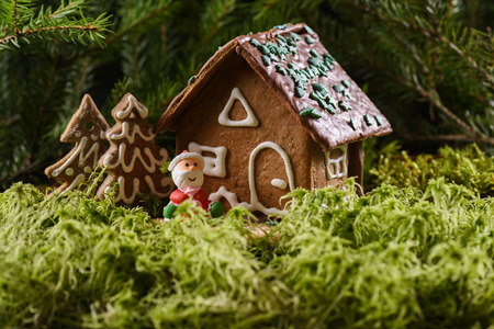 Traditional Christmas gingerbread house, cookies and happy smiling marzipan Santa Claus in green...