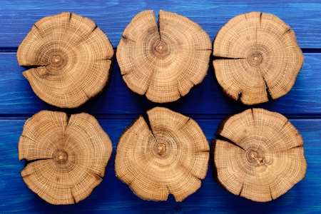 Many oak splits on navy blue background overhead view