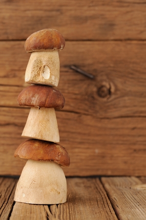 Three wild king bolete mushrooms mounting on each other on wooden background copyspace verticalの写真素材