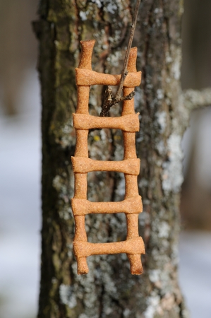 Lestvitsa, Russian rye festive spring cookie on tree branch verticalの写真素材