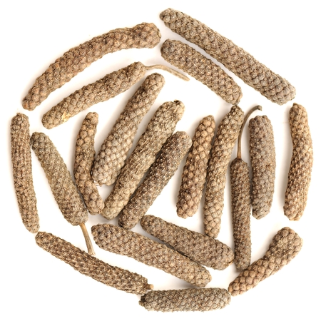 Indian long pepper, Piper longum  in round shape isolated top viewの写真素材