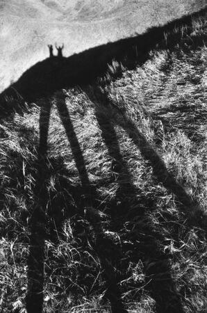 Long shadows of two people on grass. Black and white fine art film photography