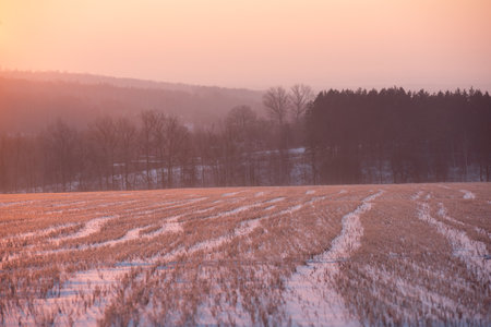 Winter dawn: warm rays of the sun illuminate a snowy field at sunriseの写真素材