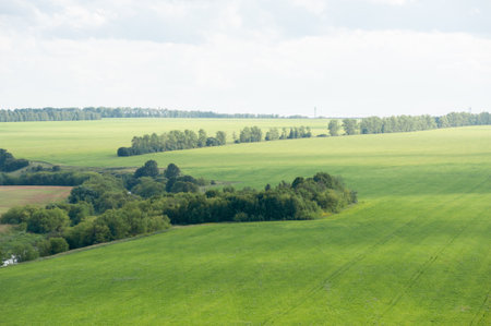 Green fields and copses on the horizon landscapeの写真素材