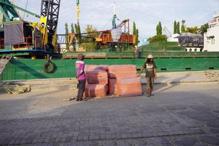 Surabaya, East Java, Indonesia - July, 2022 : group of port worker pile up goods to the shipのeditorial素材