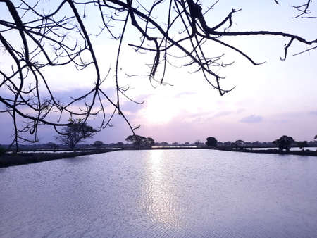 Beautiful sunset from the middle of the lakeの写真素材
