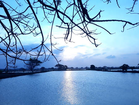 Beautiful sunset from the middle of the lakeの写真素材