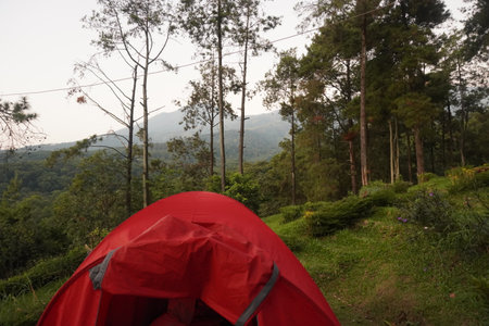 Camping in the forest at Doi Inthanon National Park, Chiang Mai, Thailandの写真素材