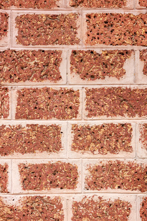 Texture laterite wall background.の写真素材