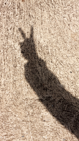 Victory sign shadow background.の写真素材