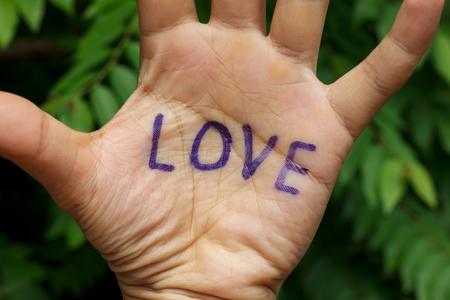 word love on hand and blur tree background.の写真素材