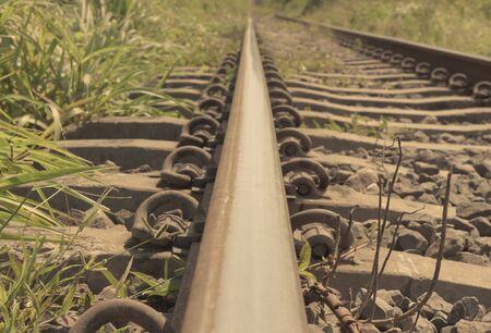 Selective focus railroad,tree background.