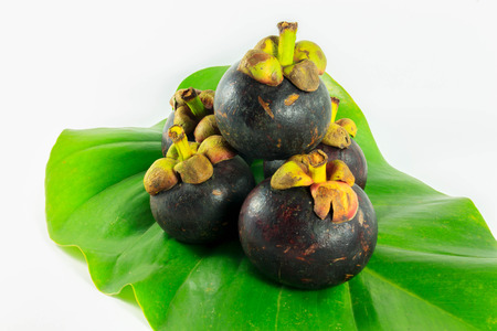 mangosteen,leaf on white backgroundの写真素材