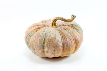 Thai pumpkin on whitebackground.の写真素材
