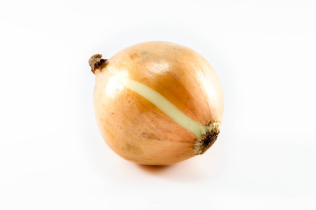 onion on white background.の写真素材