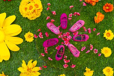 Shoe Displayの写真素材