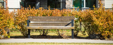 Park Bench Surrounded by Bush in autumn
