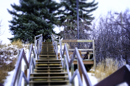 Wood pathway in Calgary downtown