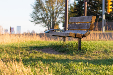 Park bench with city skyline in backgroundの写真素材