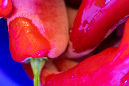 Bell Peppers Thawing to prepare Nigerian Pepper Sauce Stewの写真素材
