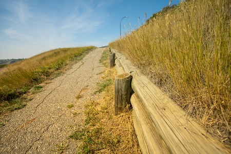 Footpath under blue skies in open field on farmの写真素材