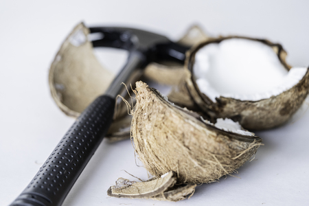 Coconut shell smashed open and into pieces with a hammer