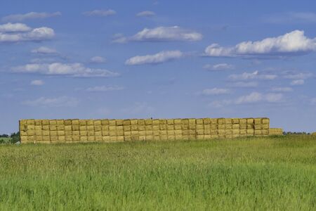 Stacked square bales of hay in a farm fieldの写真素材
