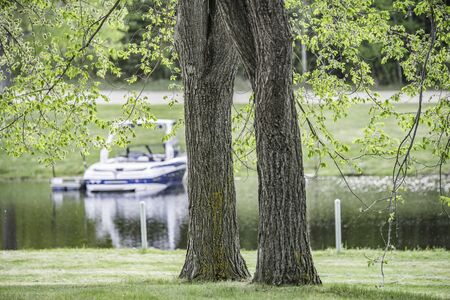 Trees beside a lake with boat in backgroundの写真素材