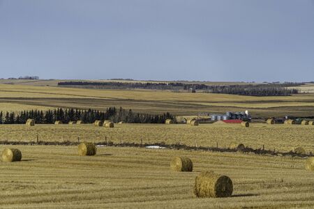 A Farm field in fall with bales of hay after the harvest