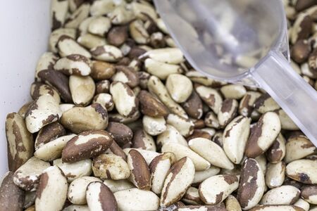 Brazil nuts on display in dispenser with a scoopの写真素材