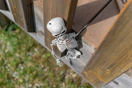 Skeleton on outside decking for Halloween celebrationの写真素材