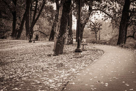 Public park with change of seaon fall autmn colors